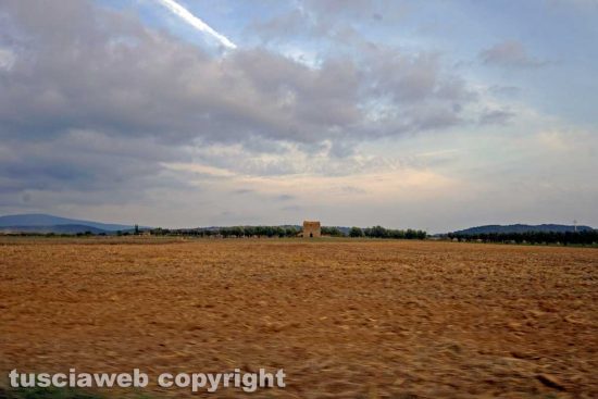 Terreno agricolo in provincia di Viterbo