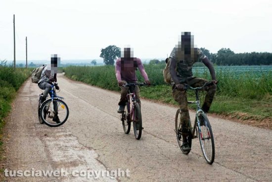 Viterbo - Lavoratori in bicicletta a Castel d'Asso