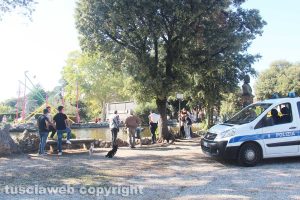 Viterbo - Un cane si tuffa nel laghetto di Pratogiardino