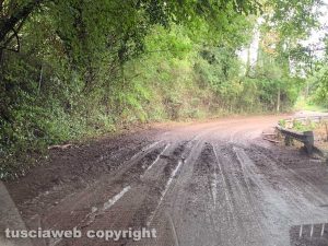 La strada provinciale Vejanese al chilometro 1