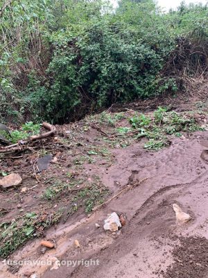 La strada provinciale Vejanese al chilometro 1