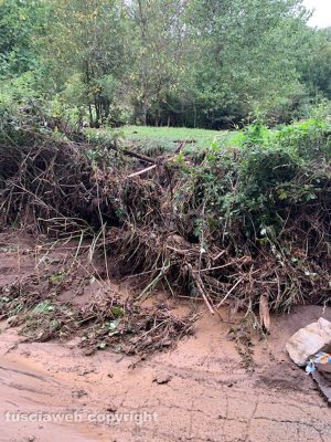 La strada provinciale Vejanese al chilometro 1