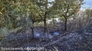 Montefiascone – Le fiamme lambiscono alcune case