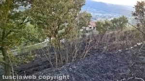Montefiascone – Le fiamme lambiscono alcune case