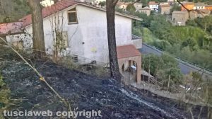 Montefiascone – Le fiamme lambiscono alcune case