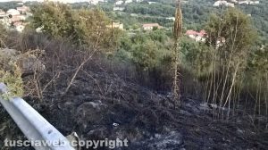 Montefiascone – Le fiamme lambiscono alcune case