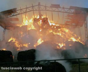 Tuscania - In fiamme mille rotoballe in un capannone