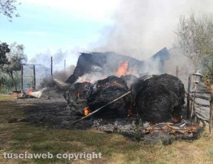 Bolsena - Incendio in un capannone agricolo