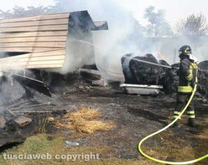     Bolsena - Incendio in un capannone agricolo
