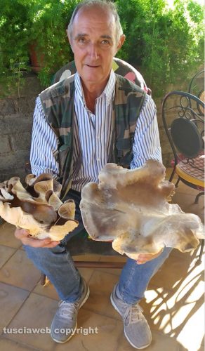 Tuscania - I funghi trovati da Aldo Scarici