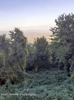 Viterbo - Monte Cimino - La visuale del belvedere impedita da alberi