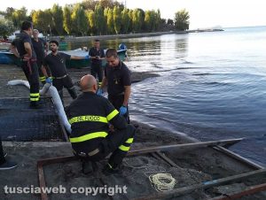 Marta - Sversamento di gasolio nel lago di Bolsena