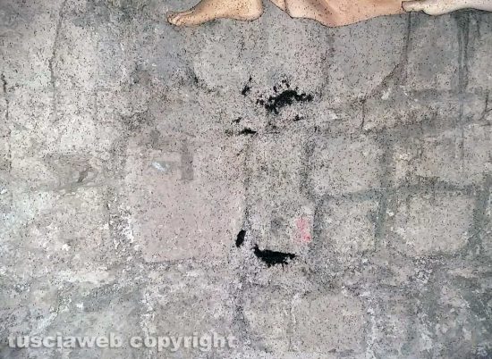 Montefiascone - I moscerini nella cripta di Santa Lucia