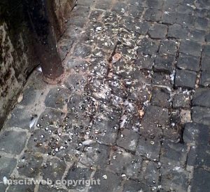 Montefiascone - Via Nino Bixio