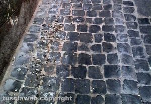 Montefiascone - Via Nino Bixio