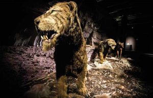 Era Glaciale a Viterbo