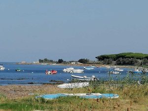 Civitavecchia - La Frasca - Rimossi e sequestrati rifiuti