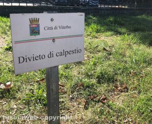 Pratogiardino Lucio Battisti - Nell'abbandono il busto a Vittorio Emanuele II