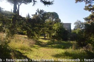 Il viale che collega la cappella alla villa