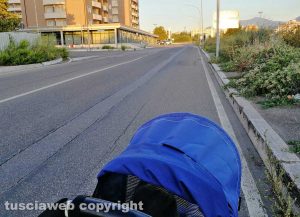 Viterbo - Erbacce sui marciapiedi di via Volta