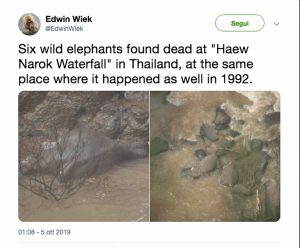 Thailandia - Il tweet di Edwin Wiek