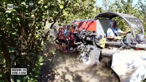 L'inchiesta di Rai 3 sulla monocoltura di nocciolo della Tuscia
