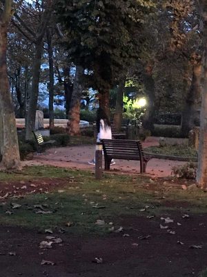  Samara avvistata al Prato Giardino di Montefiascone