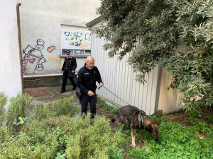 Il servizio antidroga dei carabinieri nelle scuole