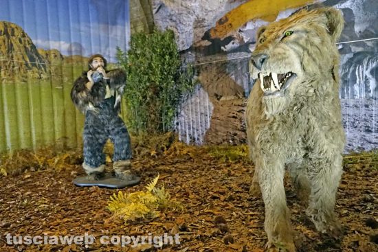 Viterbo - La mostra dedicata all'Era glaciale