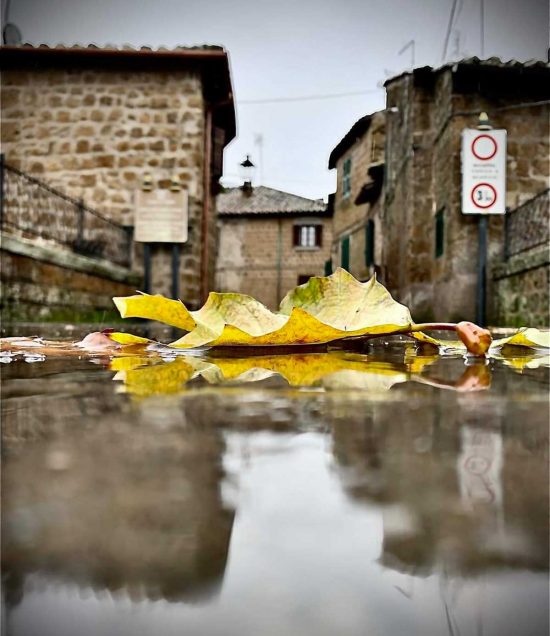 Vejano - La poesia dell'autunno - Foto di Jacopo Pasquali