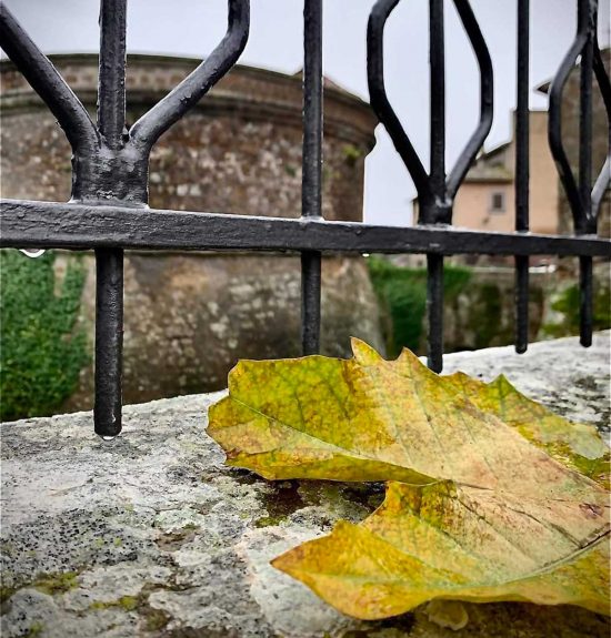 Vejano - La poesia dell'autunno - Foto di Jacopo Pasquali