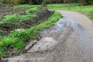Montefiascone - La strada in località Caversa