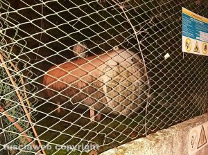 Montefiascone – Fuga di gas, paura in via Volpini
