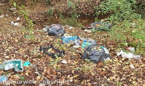 Orte - Rifiuti abbandonati a parco San Marco