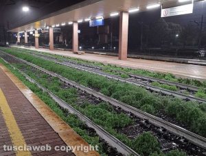 Orte - La stazione