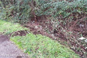 Montefiascone - Furgone fuori strada