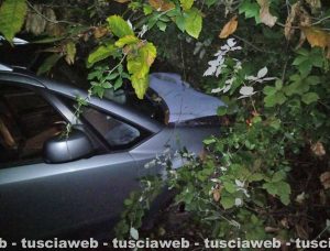 Caprarola – Auto si scontra con un cinghiale e finisce contro una albero