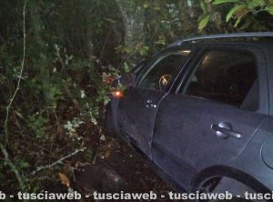 Caprarola – Auto si scontra con un cinghiale e finisce contro una albero