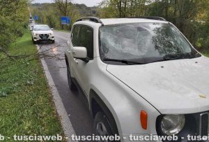 Maltempo - La Jeep Renegade colpita da un albero