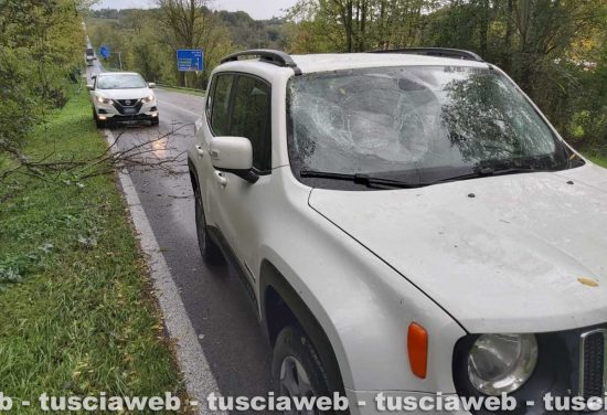 Maltempo - La Jeep Renegade colpita da un albero