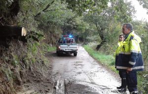 Maltempo - Albero crollato a San Martino al Cimino