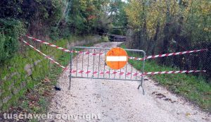 Viterbo - Strada Buon Respiro chiusa per la caduta di un albero