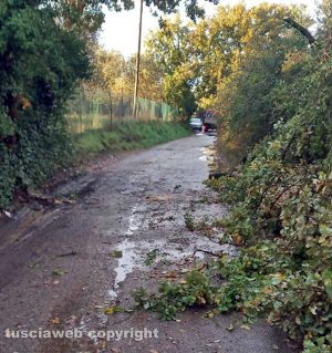 Viterbo - Strada Mammagialla sgomberata, dopo la caduta di un albero