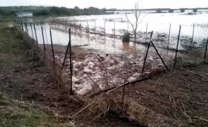 Montalto di Castro flagellata dal maltempo