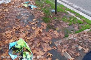 Viterbo - Manifesti pubblicitari abbandonati sotto gli stalli