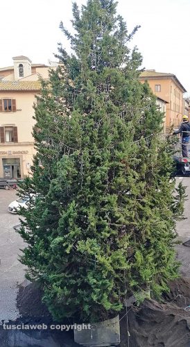 Viterbo - L'albero di Natale a piazza del Plebiscito