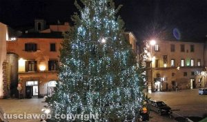 Viterbo - L'albero di Natale a piazza del Plebiscito