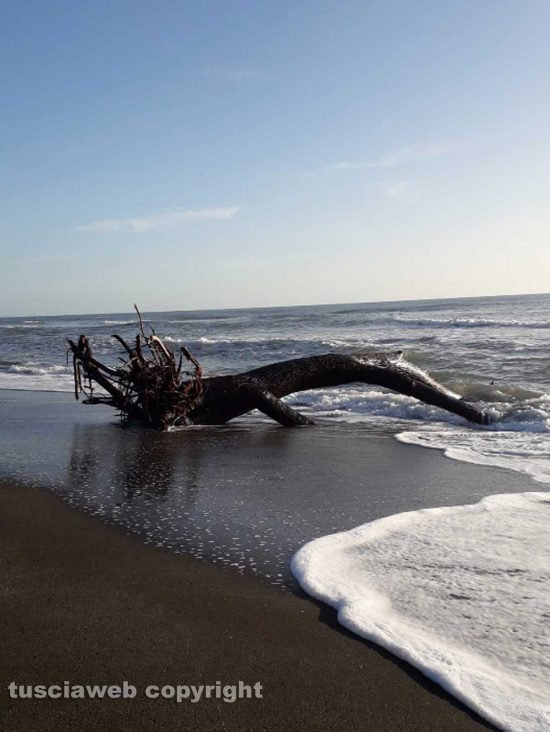 Mare mosso a Montalto