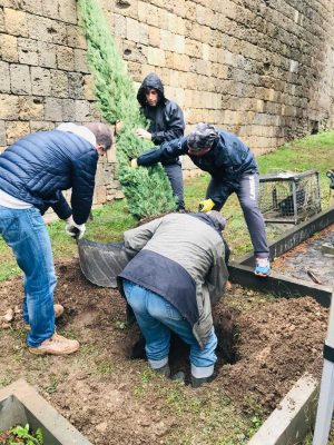 Tarquinia - Alberi per il futuro1