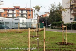 Viterbo - Il bosco urbano a Santa Lucia